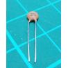 Capacitor, Ceramic, 22nF, 40V
