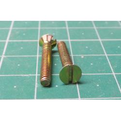 Screw, 2.7mm x 19mm, Control Thread