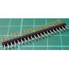HDR 20 Pin SIL Header, Male, 2.54mm Pitch