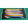 40 x Male Header pin to Male Header pin, Length 10cm