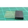 6 pin female socket, 2.54mm pitch, 11mm legs, Gold Flash