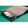 40 x Female Header pin to female Header pin, Length 20cm