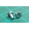 Screw, Non Standard? 2.2mm x 4mm, Cheese Head, Slotted