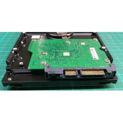 Complete Disk, CHIP: 100468303 Rev A, DiamondMax21, STM3250310AS, 250GB, 3.5", SATA