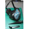 Floodlight, Halogen, 150W, Wall mount, or mount on a spike