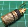 Banana Socket, 4mm, Gold/Black