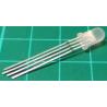 LED, Red/Green/Blue , 5mm