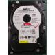 USED Hard Disk: WD400BB, WD Caviar, WD400BB-00JHC0, Desktop,IDE,40GB tested good,no bad sectors or SMART errors