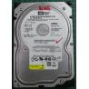 USED Hard Disk: WD800JD, WD Caviar, WD800JD-00LSA5, Desktop,SATA,80GB