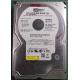 USED Hard Disk,WD1600JS, WD Caviar, WD1600JS-55NCB1,Desktop, SATA, 160GB