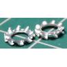 External Tooth Washer, M2.5, 5mm diameter