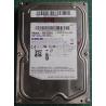 USED Hard Disk,SAMSUNG,HD103SJ,P/N:HD103SJ,Desktop,SATA,1TB