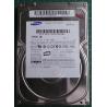 USED, Hard Disk, SAMSUNG, SP0411N, P/N: 0611J1FX345245, Desktop, IDE, 40GB