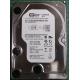 NEW, Hard Disk, WD5000AVJB, WD AV, WD5000AVJB-63YUA0, Desktop, IDE, 500GB