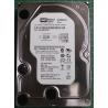 NEW, Hard Disk, WD5000AVJB, WD AV, WD5000AVJB-63YUA0, Desktop, IDE, 500GB