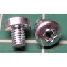 Screw, M3x4, Cheese Head, Torx, Stainless Steel