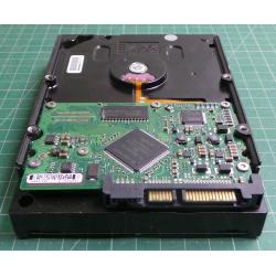 Complete Disk, PCB: 100337233 Rev B, Barracuda 7200.8, ST3250823AS, P/N: 9Y7383-301, Firmware: 3.04, 250GB, 3.5", SATA