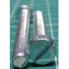 Screw, M5x55, Cheese Head, Slotted