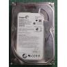 USED, Hard Disk, Seagate, Barracuda Pipeline HD .2, ST3250312CS, P/N: 9GW131-125, Firmware: MA15, Desktop, SATA, 250GB