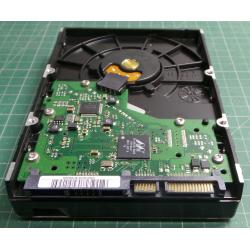 Complete Disk, PCB: BF41-00178B R00 Rev 08, HD252HJ, P/N: 48971A121A0K7J, 250GB, 3.5", SATA