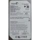 Complete Disk, PCB: 100406937 Rev B, Barracuda 7200.10, ST3250820AS, P/N: 9BJ13E-305, Firmware: 3.AAE, 250GB, 3.5", SATA