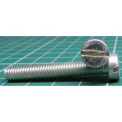 Screw, M6x40, Cheese Head , Slotted, Stainless Steel 