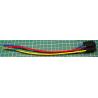 Socket for 5 Pin Car / Truck Relay