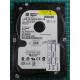 USED, Hard Disk, WD400, WD400BB-00FJA0, WD Caviar, Desktop, IDE ,40GB