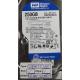 Complete Disk, PCB: 2060-701590-001 Rev A, WD2500AAJS, WD Caviar, WD2500AAJS-07M0A0, 250GB, 3.5", SATA