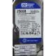 Complete Disk, PCB: 2060-701640-002 Rev A, WD2500AAJS, WD Caviar, WD2500AAJS-00V4A0, 250GB, 3.5", SATA