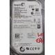 PCB: 100535704 Rev C, Barracuda , ST500DM002, P/N: 1BD142-500, Firmware: KC45, 500GB, 3.5", SATA