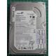 Complete Disk, PCB: 100390920 Rev B, Barracuda 7200.9, ST3160811AS, P/N: 9CC132-301, Firmware: 3.AAB, 160GB, 3.5", SATA