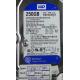 Complete Disk, PCB: 2060-771640-003 Rev A, WD2500AAKX, WD Blue, WD2500AAKX-60U6AA0, 250GB, 3.5", SATA