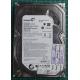 Complete Disk, PCB: 100535704 Rev C, Barracuda 7200.12, ST3160316AS, P/N: 9YP13A-304, Firmware: JC4B, 160GB, 3.5", SATA