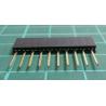 10 pin socket strip, 2.54mm Pitch, for PCB