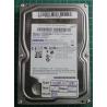 USED, Hard Disk, SAMSUNG, HD253GJ, P/N: A4463-C711-A1U4U, Desktop, SATA, 250GB