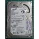 Complete Disk, PCB: 100387575 Rev D, Barracuda 7200.9, ST3808110AS, P/N: 9BD131-034, Firmware: 3.ADJ, 80GB, 3.5", SATA