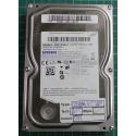 USED, Hard Disk, SAMSUNG, HD252HJ, P/N: 62061-A32A-A0Y7B, Desktop, SATA, 250GB