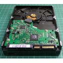 Complete Disk, BF41-00204B R00 Rev 08, HD161GJ, P/N: 49373-A11A-A7VK7, 160GB, 3.5", SATA