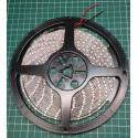 LED reel 8mmx5m, Day white, 60xLEDs/m, IP65, Waterproof