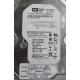 PCB: 2060-701537-002 Rev P1, WD1600AAJS, WD Caviar, WD1600AAJS-00B4A0, 160GB, 3.5", SATA