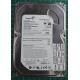 PCB: 100470387 Rev B, Barracuda 7200.10, ST3160815AS, P/N: 9CY132-313, Firmware: 4.AAB, 160GB, 3.5", SATA