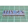 Ceramic Hybrid Module, No Data, 031-02G 20812