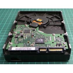 Complete Disk, PCB: BF41-00178B R00 Rev 08, HD252HJ, SAMSUNG, P/N: 487631KS526079, 250GB, 3.5", SATA