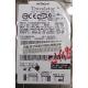 CHIP: 14R9060-J41063D-N0V435-ODVL, IC25N060ATMR04-0, P/N: 08K0634, 60GB, 2.5", IDE