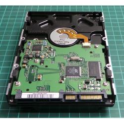 Complete Disk, PCB: BF41-00095A Rev 02, HD160JJ/P, SAMSUNG, P/N: 1442J1FL403241, 160GB, 3.5", SATA