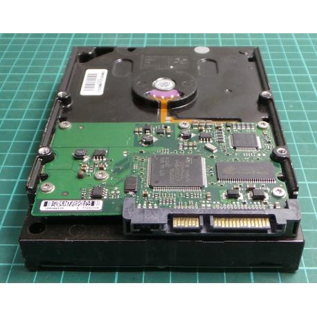 Complete Disk, PCB: 100406937 Rev B, Barracuda 7200.10, ST3250820AS, P/N: 9BJ13E-188, Firmware: 3.AAD, 250GB, 3.5", SATA