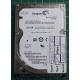 Complete Disk, PCB: 100536286 Rev E, Momentus 5400.6, ST9250315AS, P/N: 9HH132-287, Firmware: 0003SDM1, 250GB, 2.5", SATA