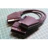 Scart plug to 2xScart Plugs, 0.3m