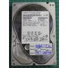 USED, Hard Disk, HITACHI, HCP725032GLAT80, P/N: 0A37136, Desktop, IDE, 320GB